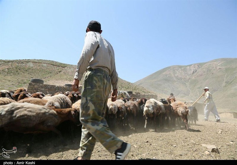 سهم عشایر از بودجه استان کجاست؟